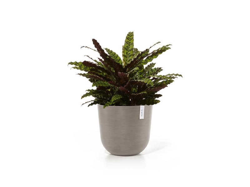 Ecopots Pflanzentopf Oslo 45, French Taupe Robuster und langlebiger Blumentopf