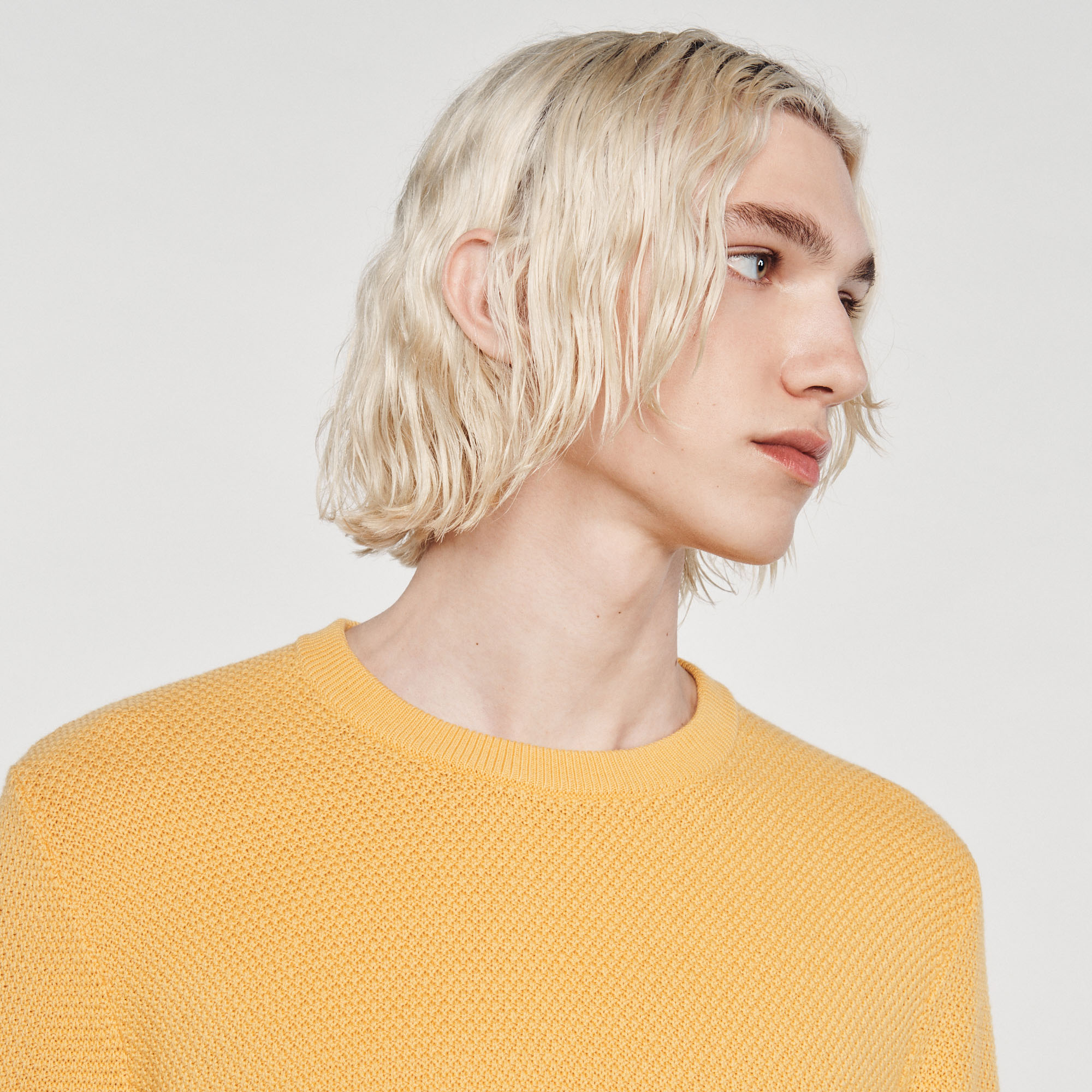 Pull en laine