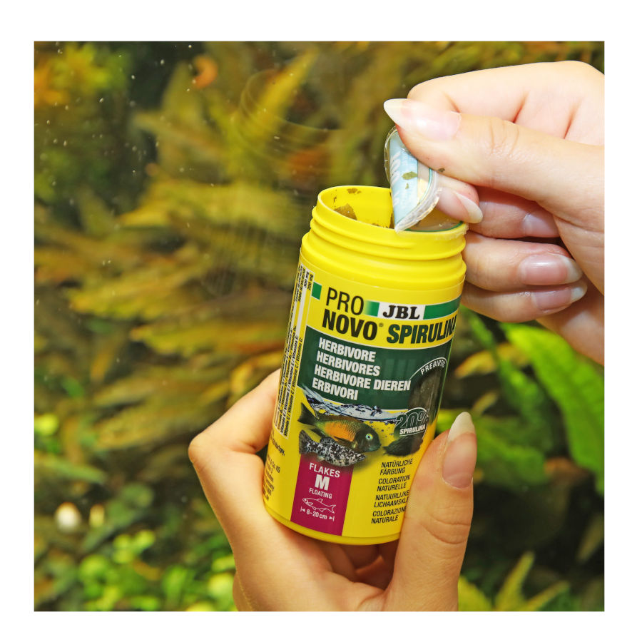 Flocos vegetais de espirulina JBL para peixes comedores de algas