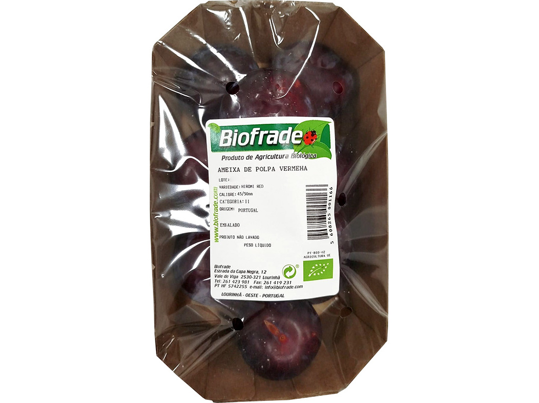 AMEIXA VERMELHA BIO 500G