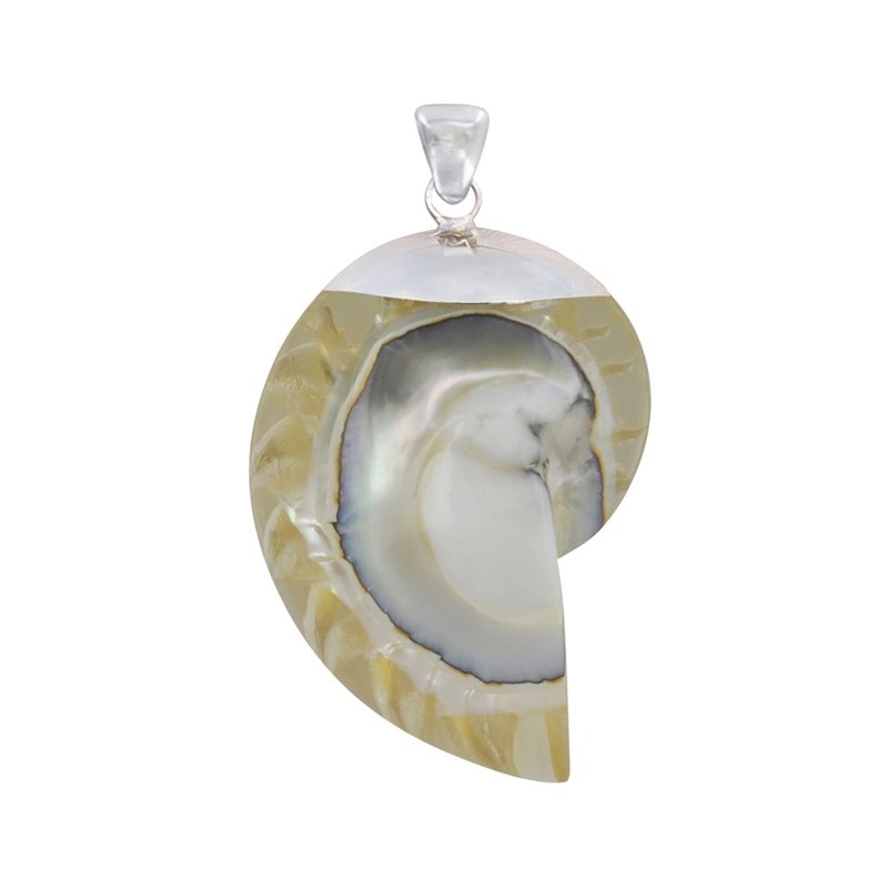 Pendentif Argent Nautile Coquillage et Résine