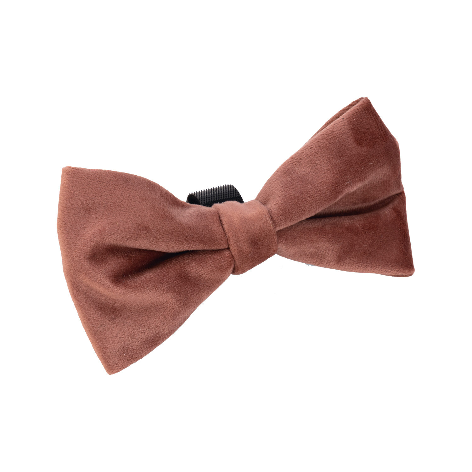 Designed by Lotte Strik Zaza - Velvet