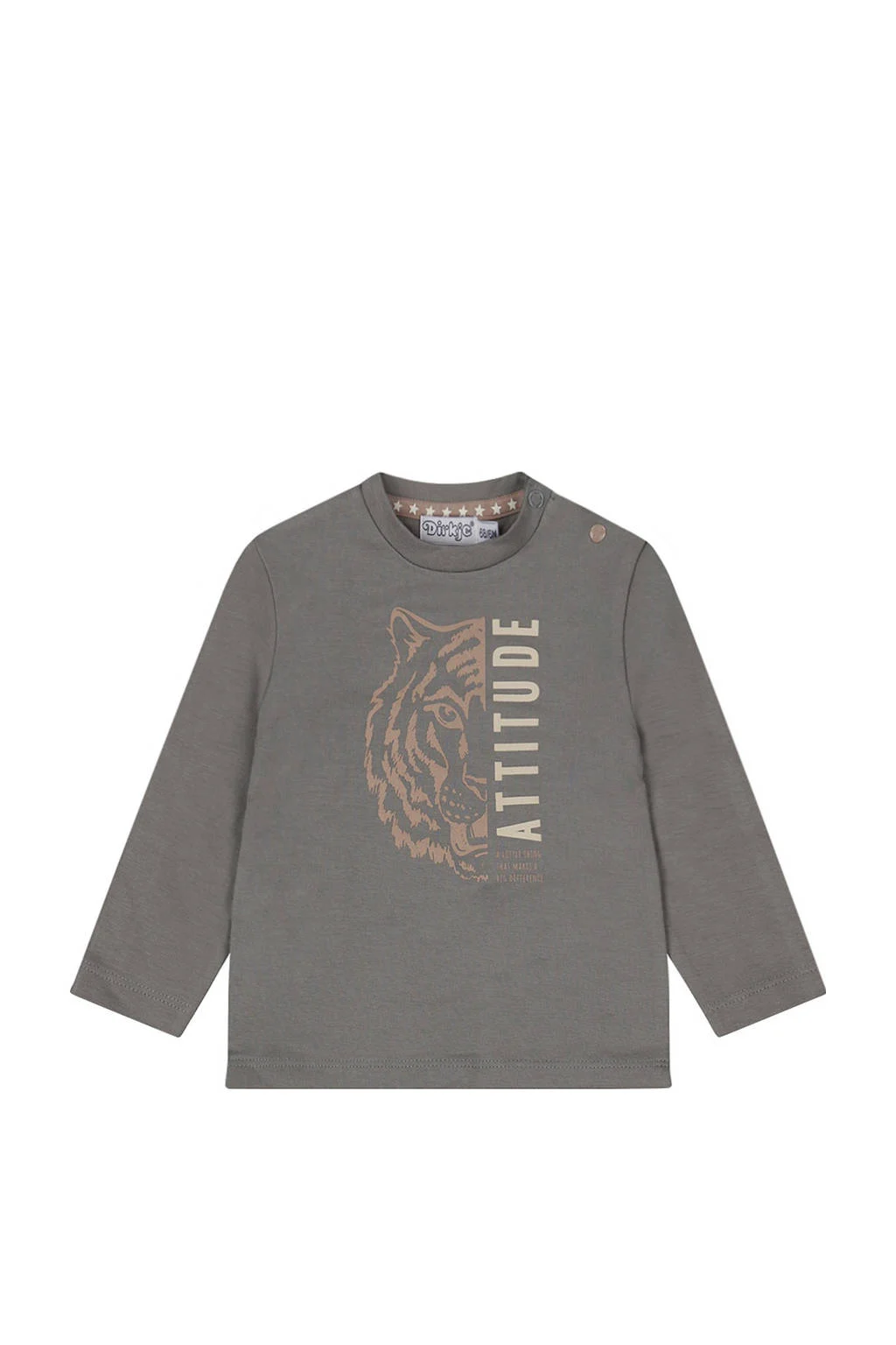 Dirkje longsleeve grijs