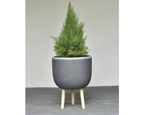 Lafiora plantenbak met pootjes, Ø 30 cm, H 38 cm, antraciet