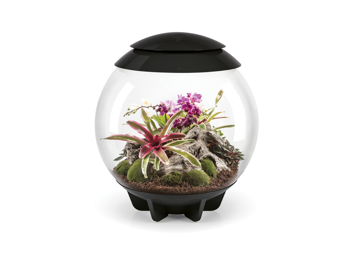 biOrb Air 30 Zwart | Plantenterrarium