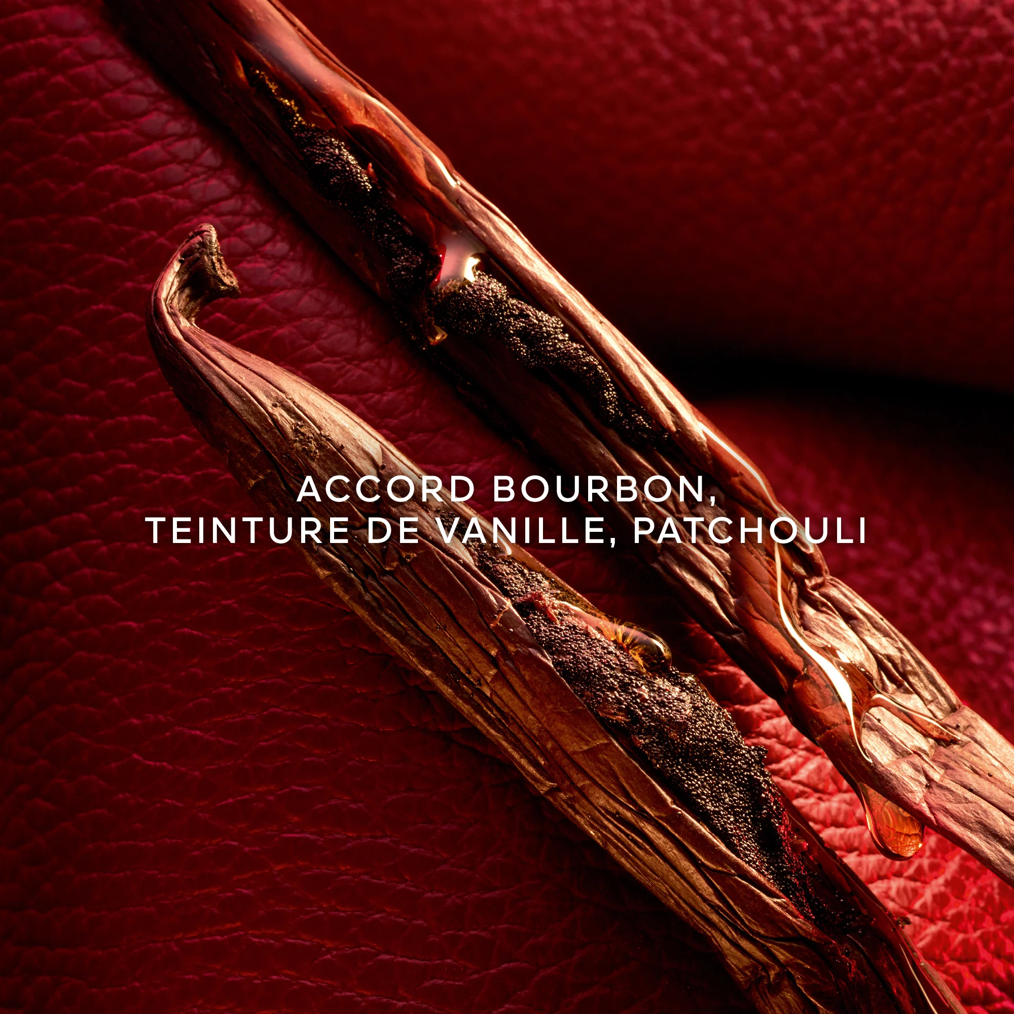 HABIT ROUGE - Eau de Parfum |