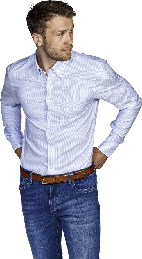 Due Signori BUTTON DOWN SLIM - OXFORT STRIBE - BLUE 24