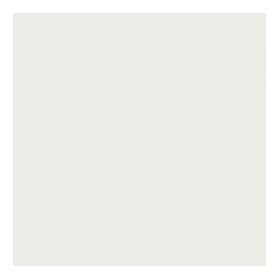 Tissuepapier Wit 10 Vellen 14 gr, 50x70cm