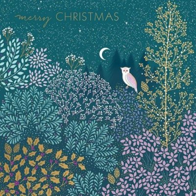 sara miller owl & trees box x8
