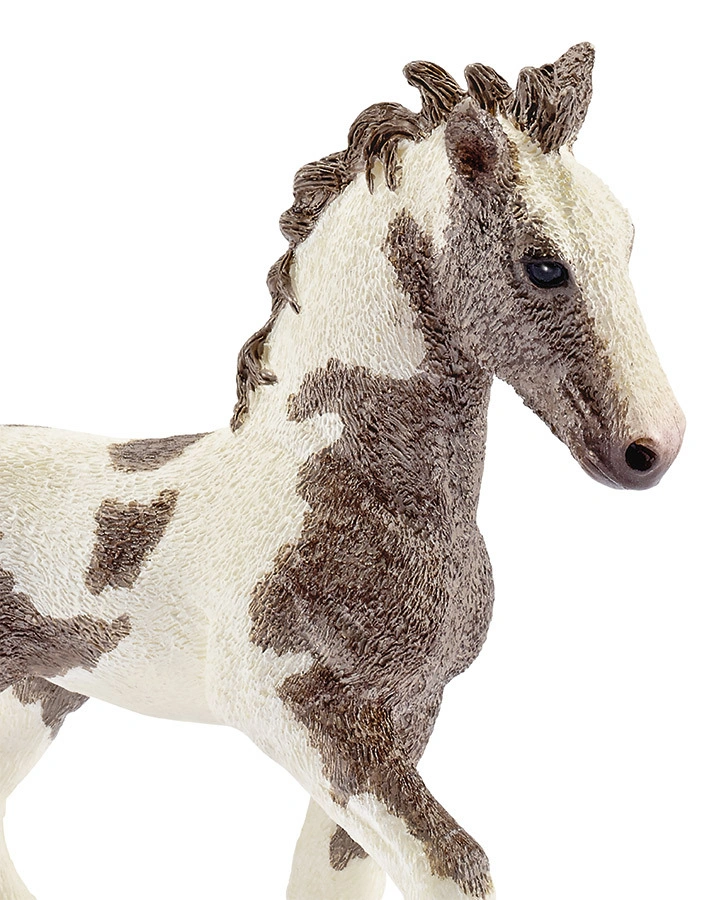 schleich® 13774 Farm Life – Tinker Fohlen