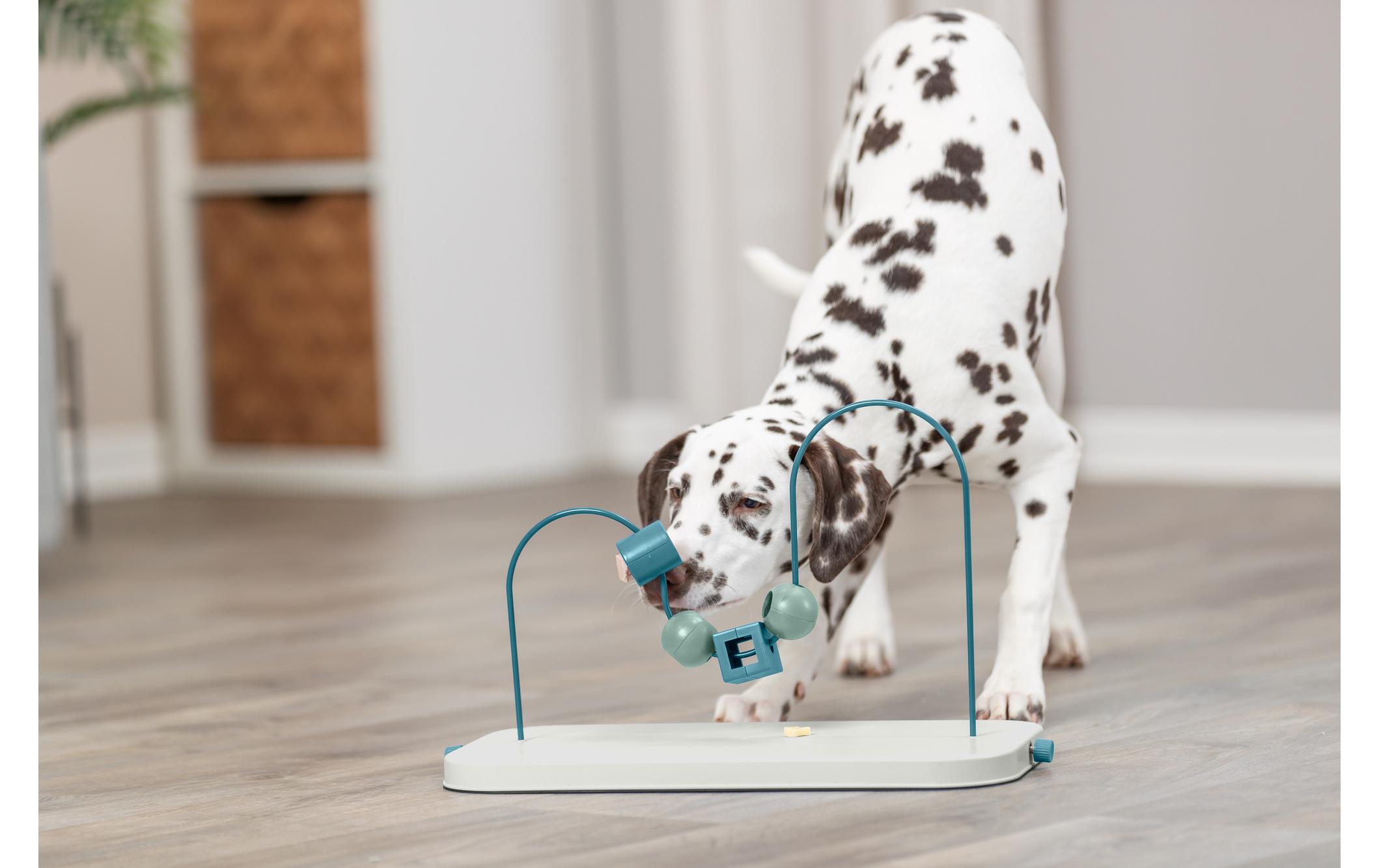 Dog Activity Skills LoopHunde Spielzeug