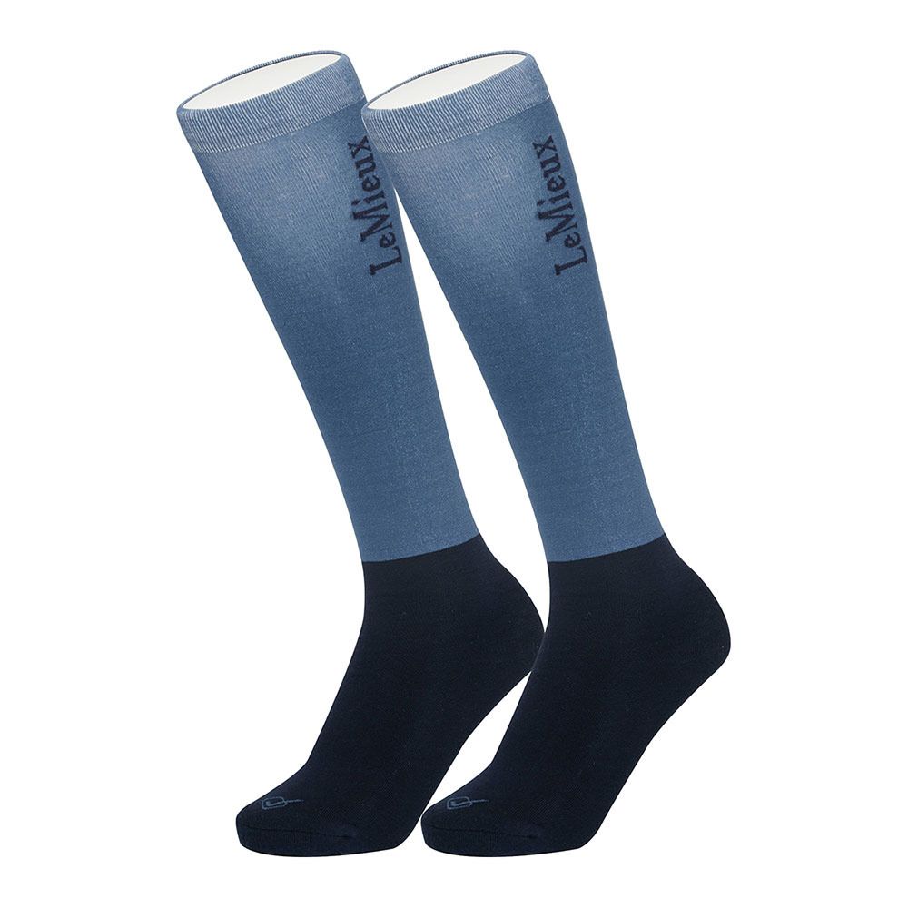 Le Mieux COMPETITION - Chaussettes atlantic