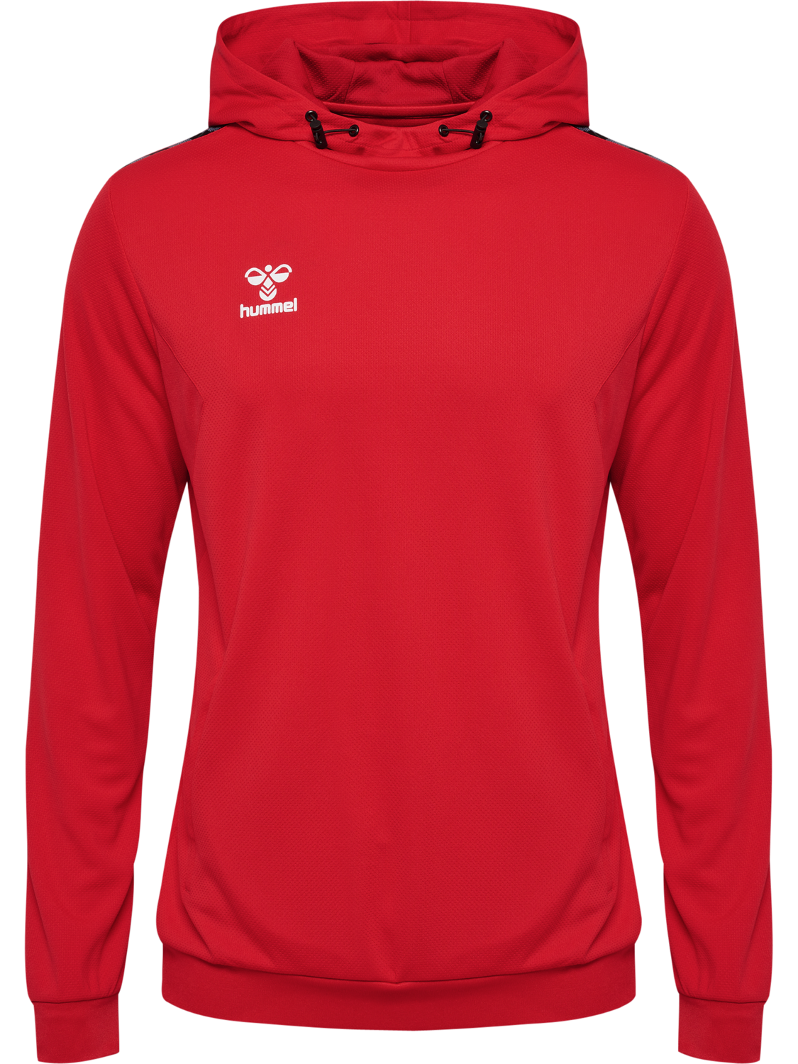 hmlAUTHENTIC PL HOODIE