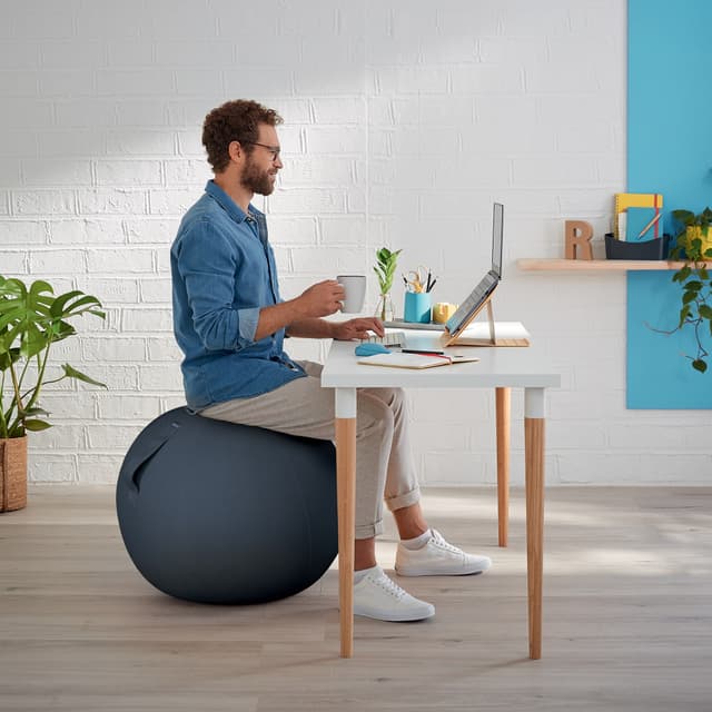 Leitz Ergo Cosy Active balancebold