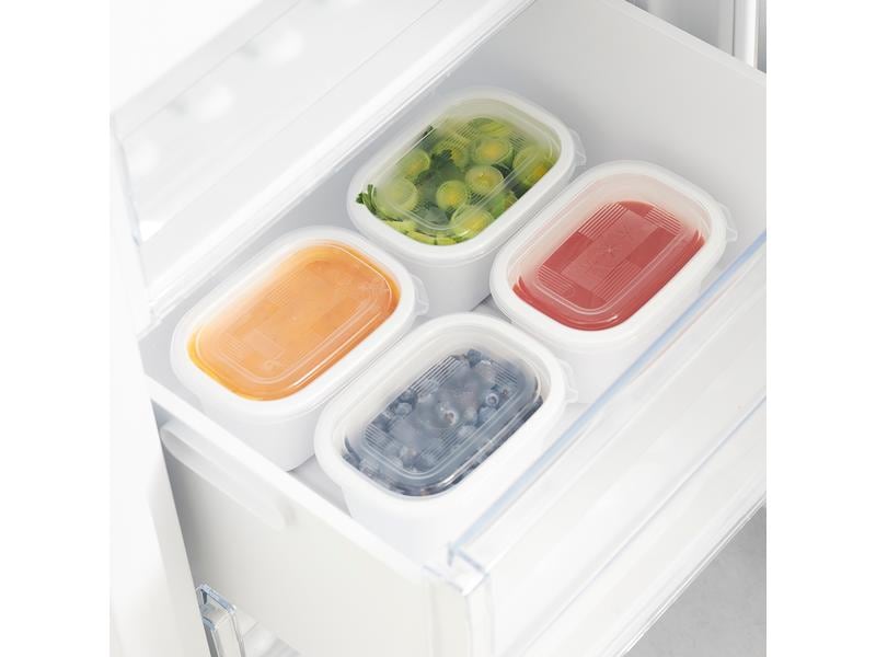 Rotho Vorratsbehälter Freeze 4 Stück, 0.75 l, Transparent Gefrierdosenbox für Lebensmittel