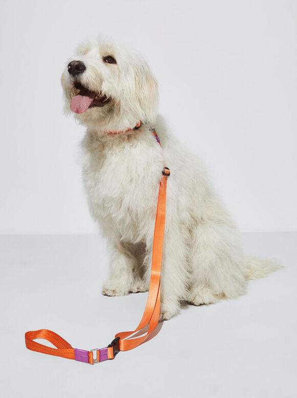 Guia personalizável para cães - Laranja