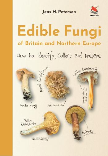 Edible Fungi of Britain and Northern Europe: How to Identify, Collect and Prepare - WILDGuides (Hardback)