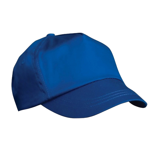 Resultado Gorra/ Visera Lisa