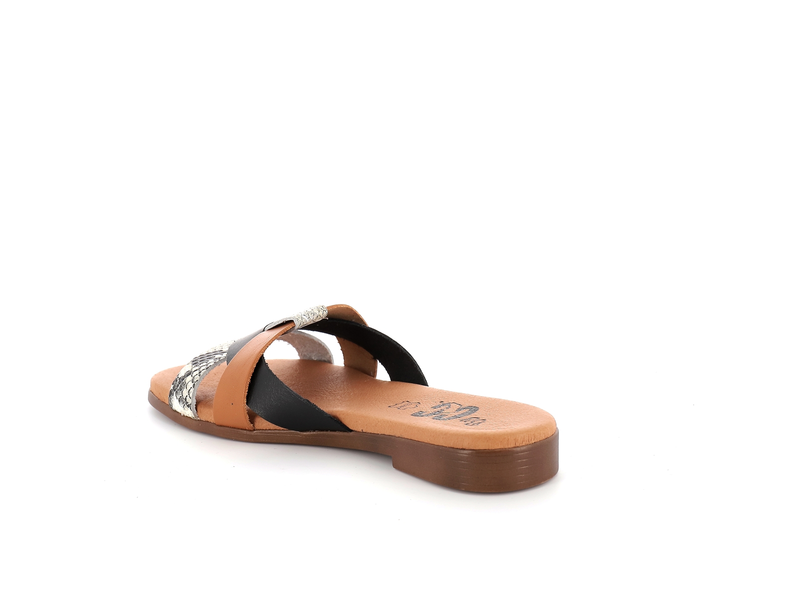 Chaussures du chateau-9155 Cuir Multicolore