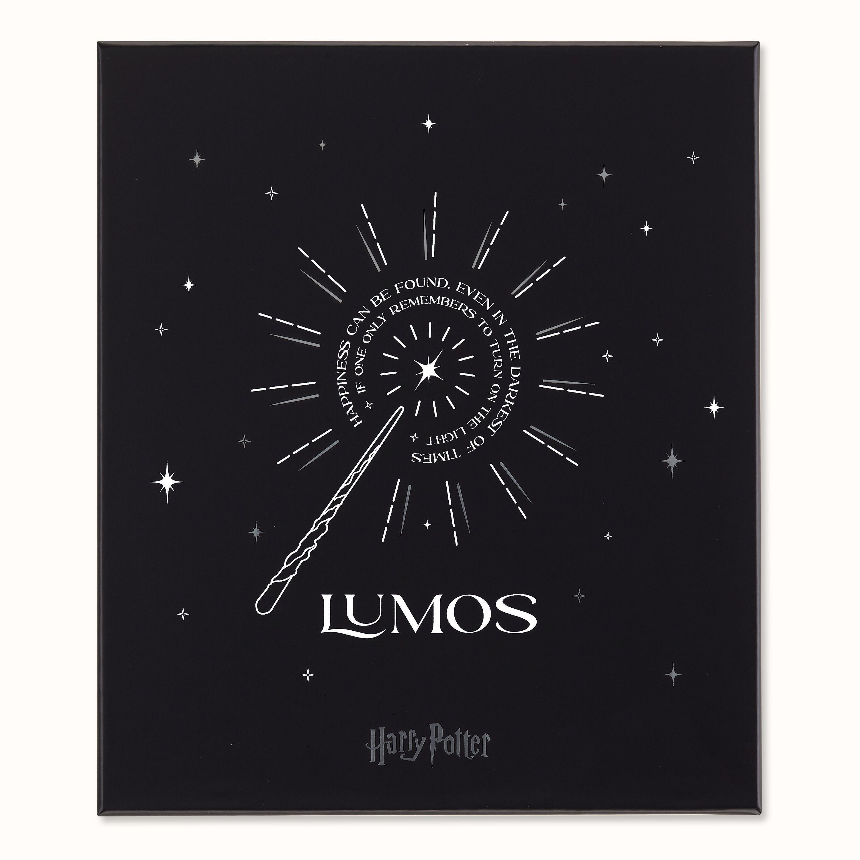 Moleskine Harry Potter Lumos Thematisches Bundle limitierte Ausgabe, L/A5