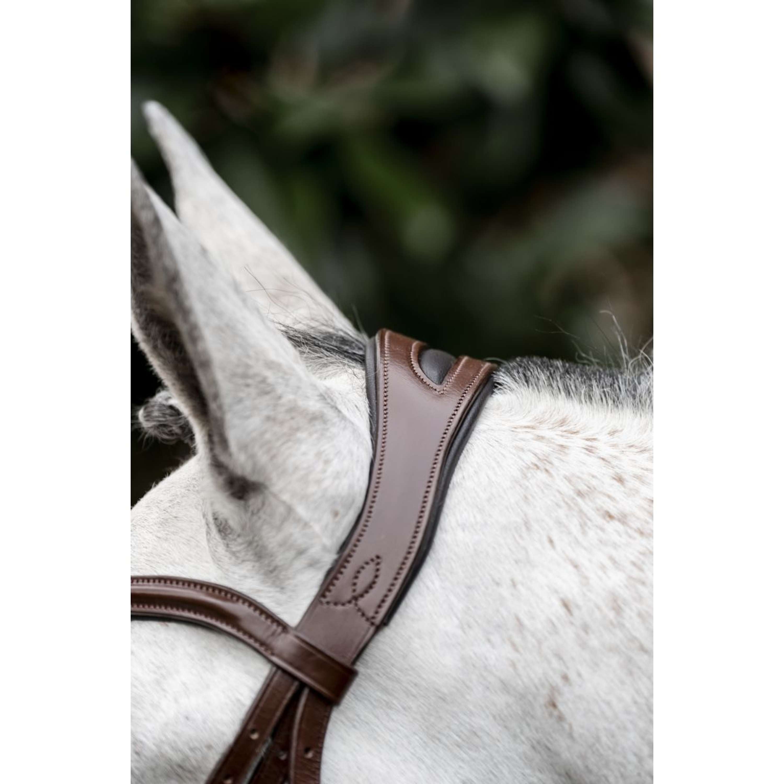 Horseware Hoofdstel Dressage Bruin