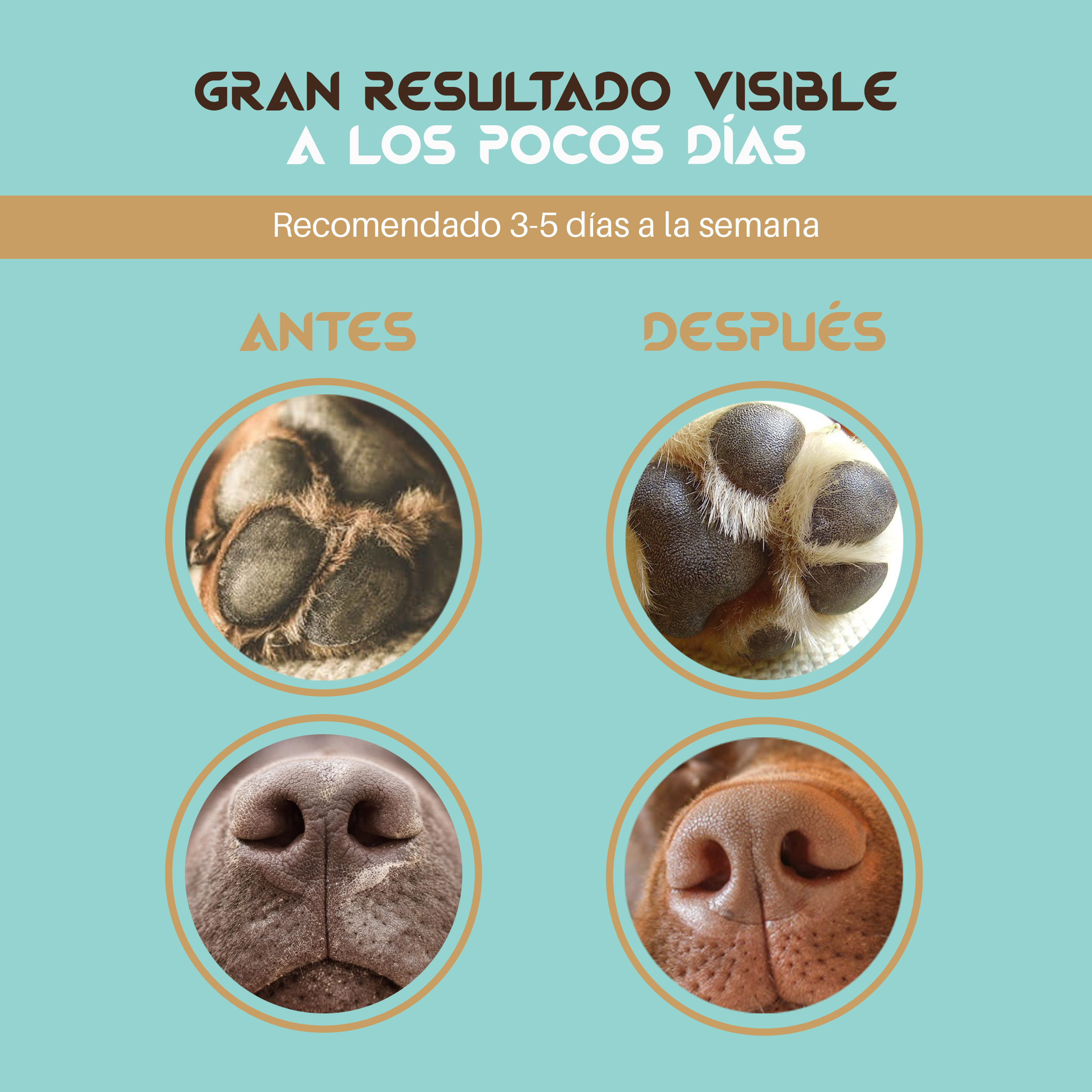 Togo AnimalCare | Compressas de bálsamo cicatrizante para as almofadas do focinho de cães e gatos