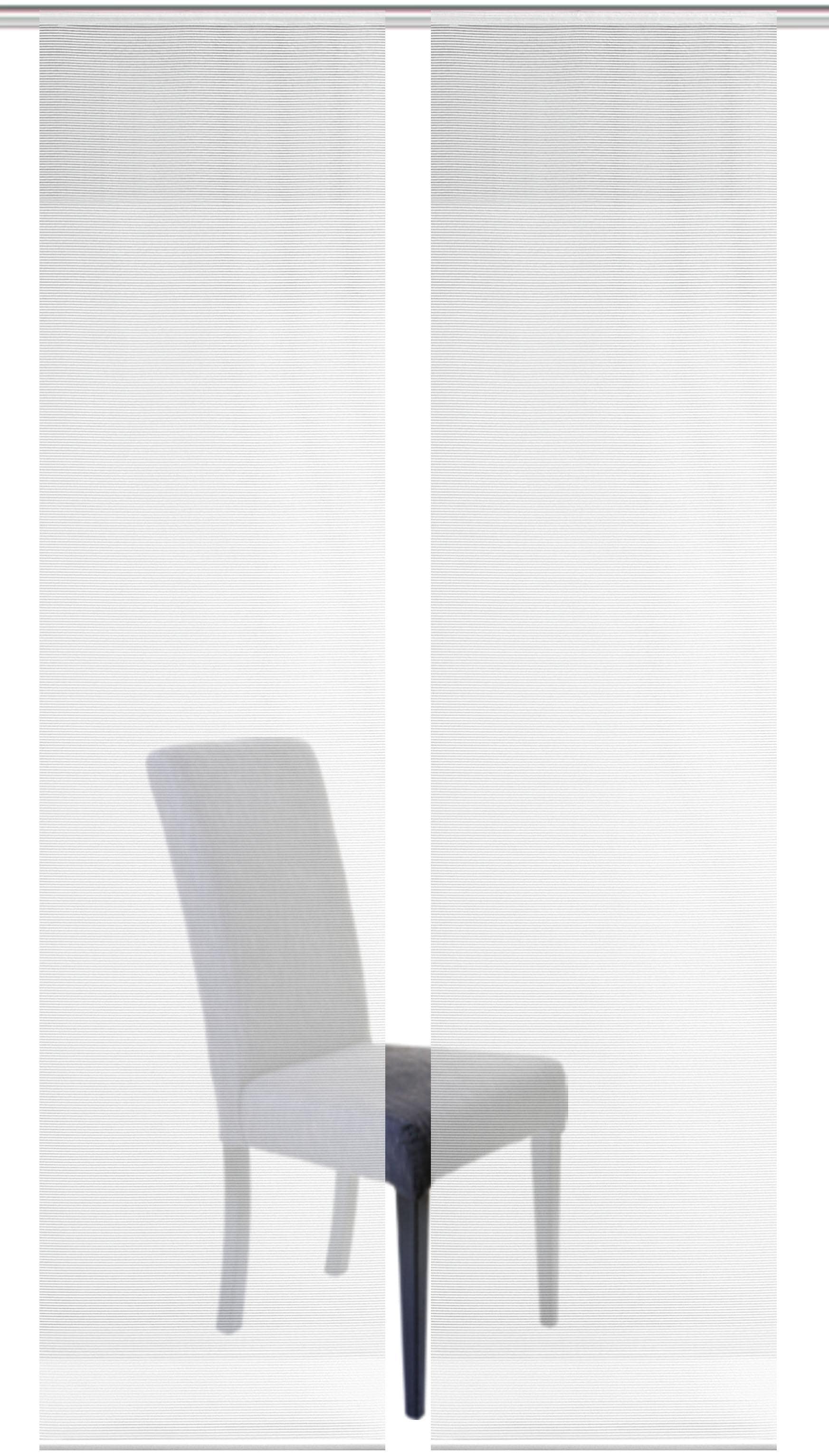 Vision S Schiebegardine »2ER SET ROM« Paneelwagen 2 Stk. tlg. HxB: 260x60, Schiebevorhang 2er Set Uni