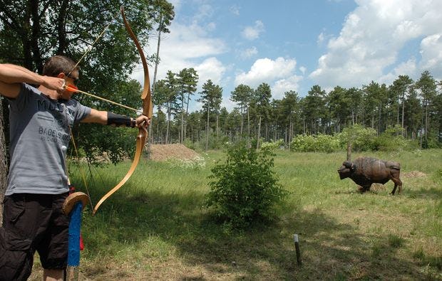 3D Bogenschießen und Waldklettergarten in Gänserndorf als Geschenk