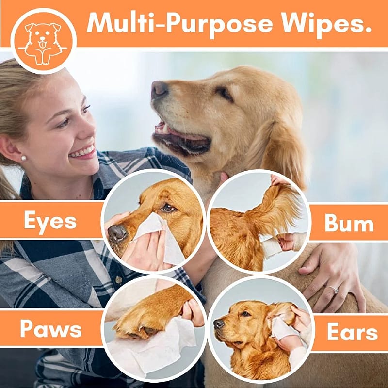 DogsLife Grooming Wipes Hond 100 stuks | 13162