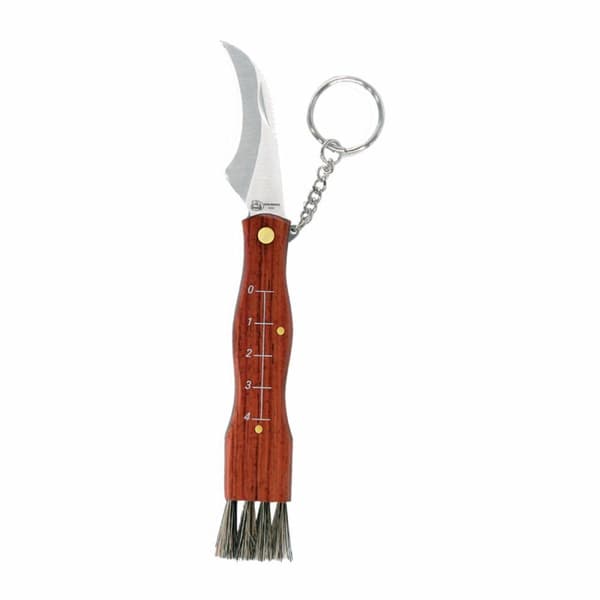 Lommekniv Imex el Zorro Sopp Rustfritt stål 6 cm