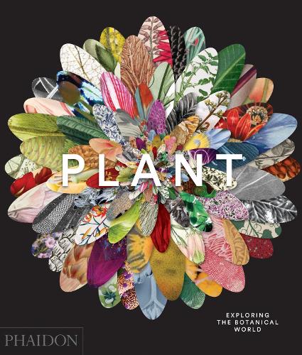 Plant: Exploring the Botanical World (Hardback)