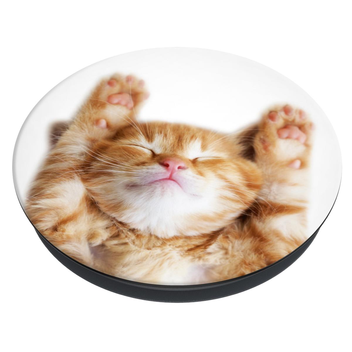 PopSockets PopSockets Basis Schmusekatze