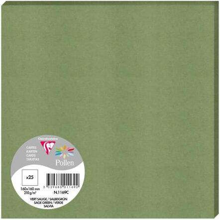 Paquet de 25 cartes simples Pollen 160x160 210g/m2 - Vert sauge