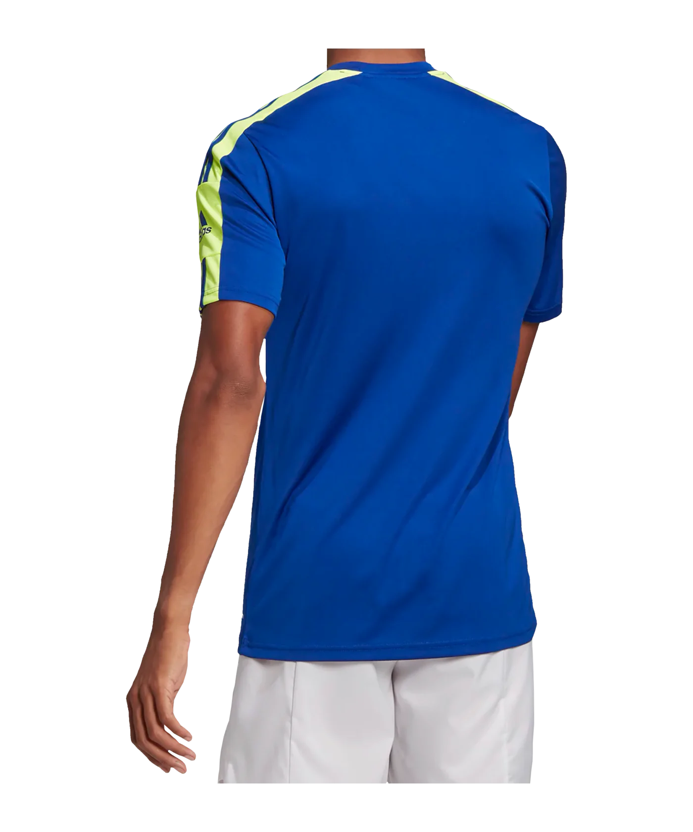 adidas Squadra 21 Trikot Blau