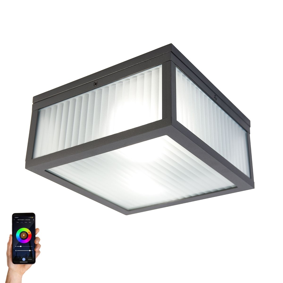Smart buiten plafondlamp zwart met ribbel glas incl. Wifi A60 - Charlois