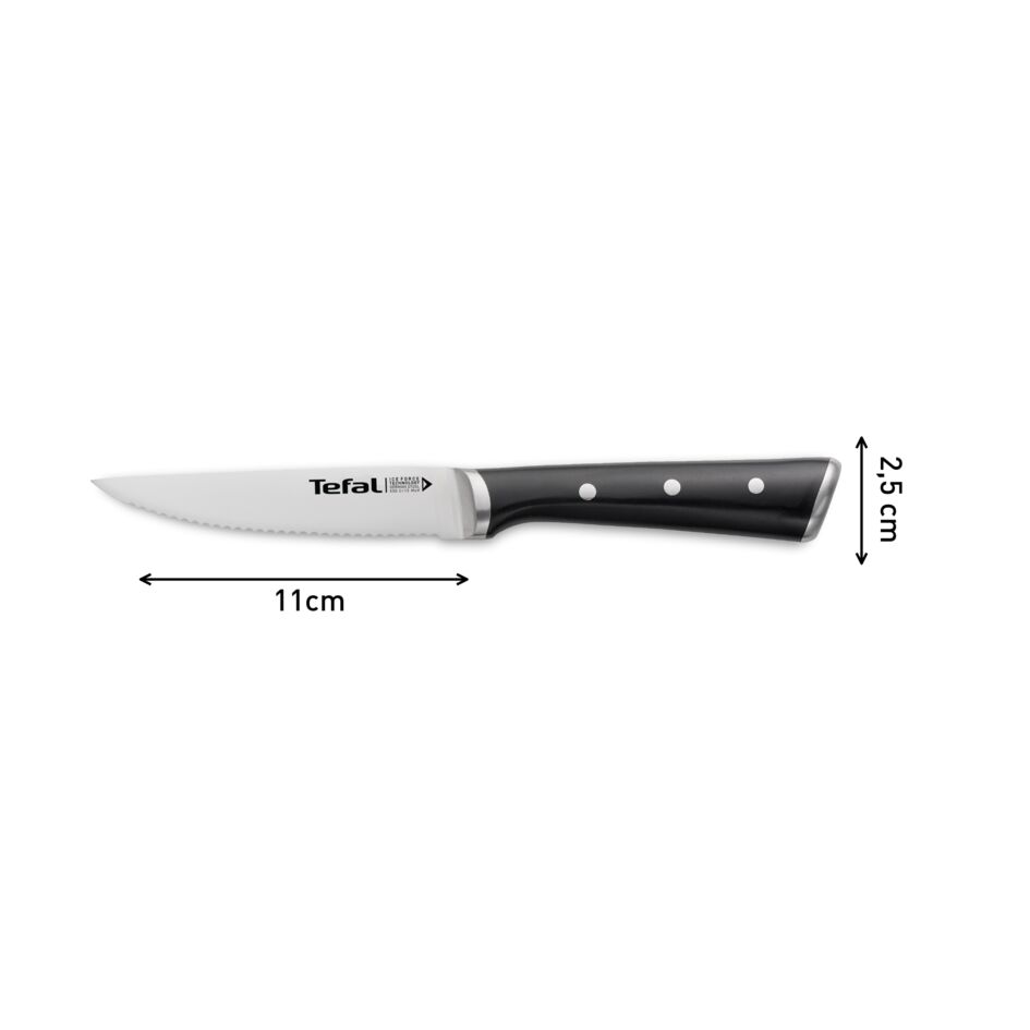 Ice Force K232S414 set van 4 steakmessen