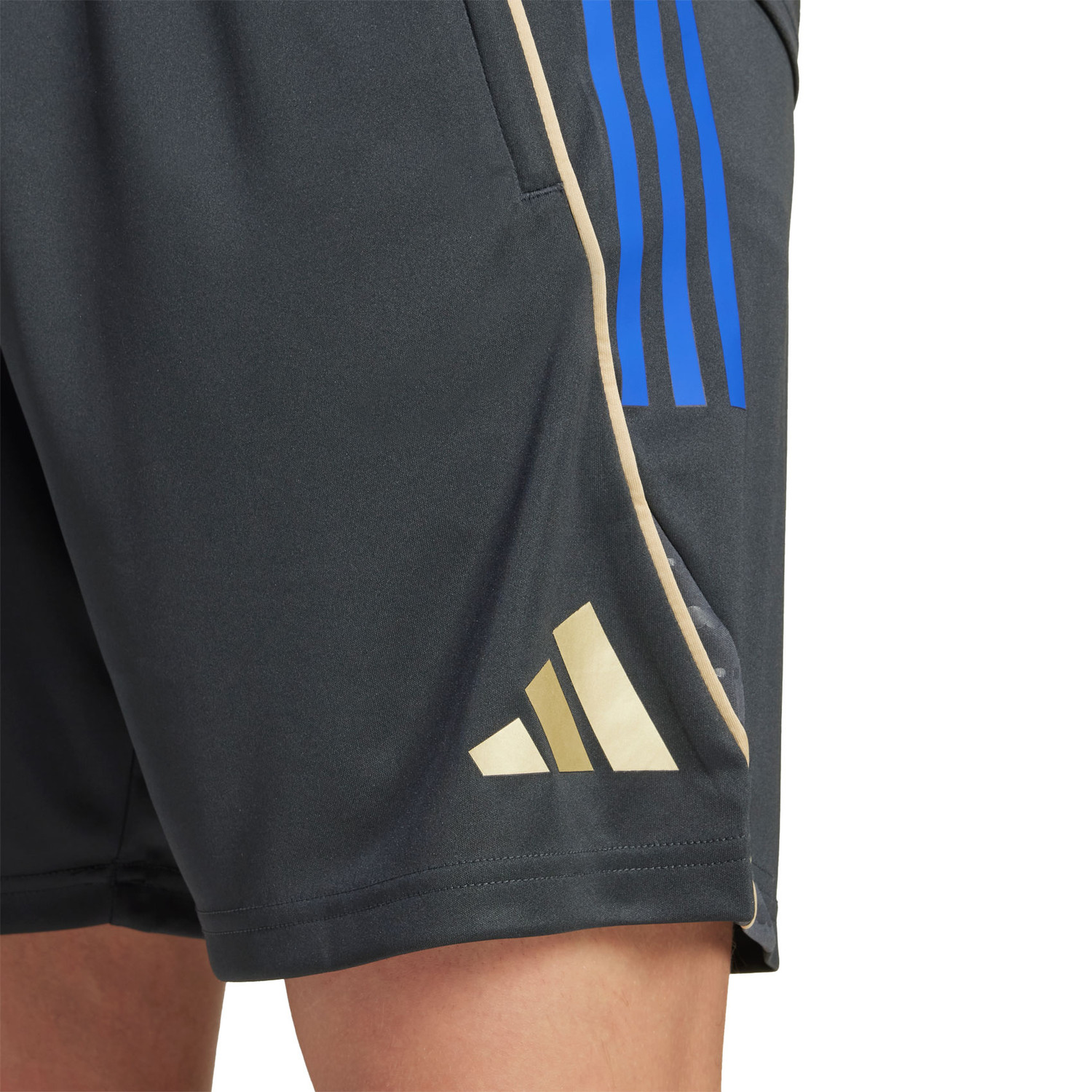 adidas Olympique Lyon Training Short 2025/2026