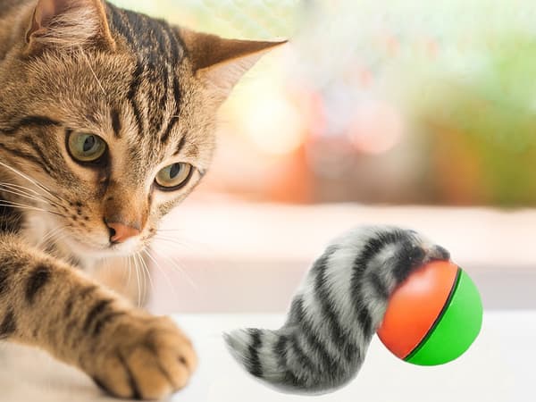 Elektrisk Katteleke / Leke for Katt - Rullende Ball med Ilder