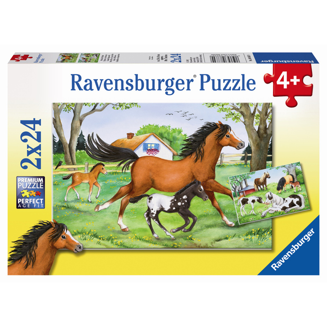 Puzzle-Box - Welt der Pferde - 2x 24 Teile
