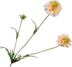 Silk-Ka kunstbloem Scabiosa oranje 66 cm