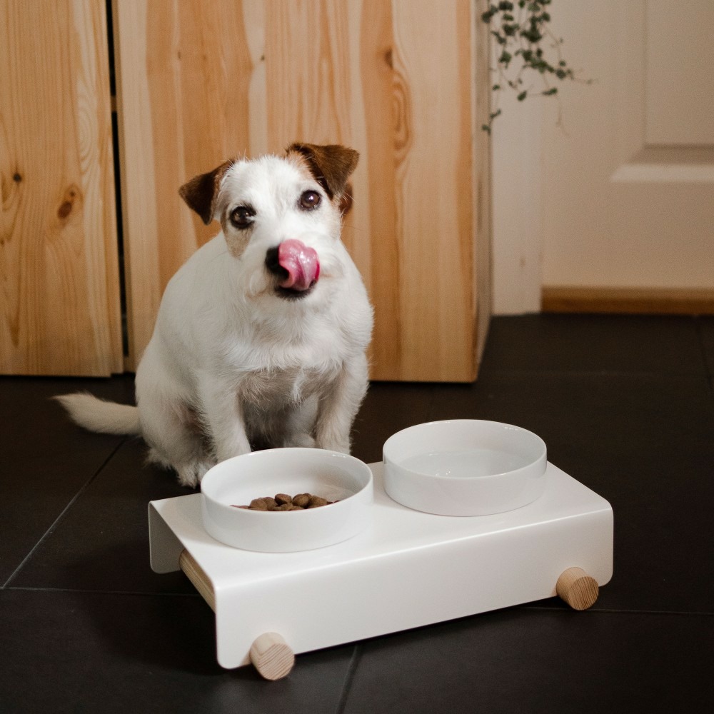 Gypso - set de 2 gamelles en céramique surélevées pour petits chien / chat