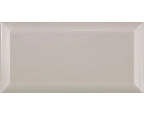 Metrotegel met afgeschuinde rand, mistgrijs glanzend, 10x20 cm