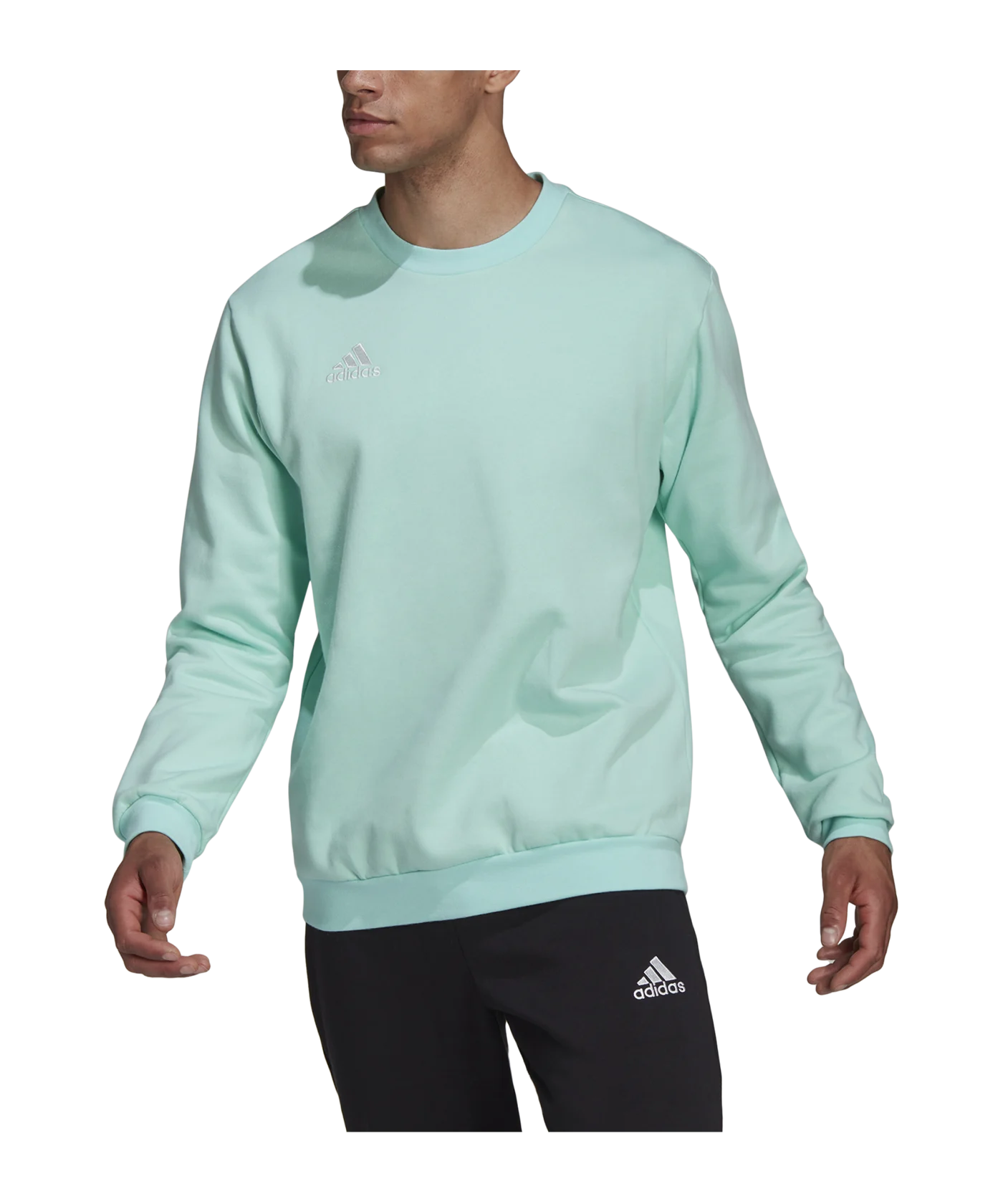 adidas Entrada 22 Sweatshirt Türkis