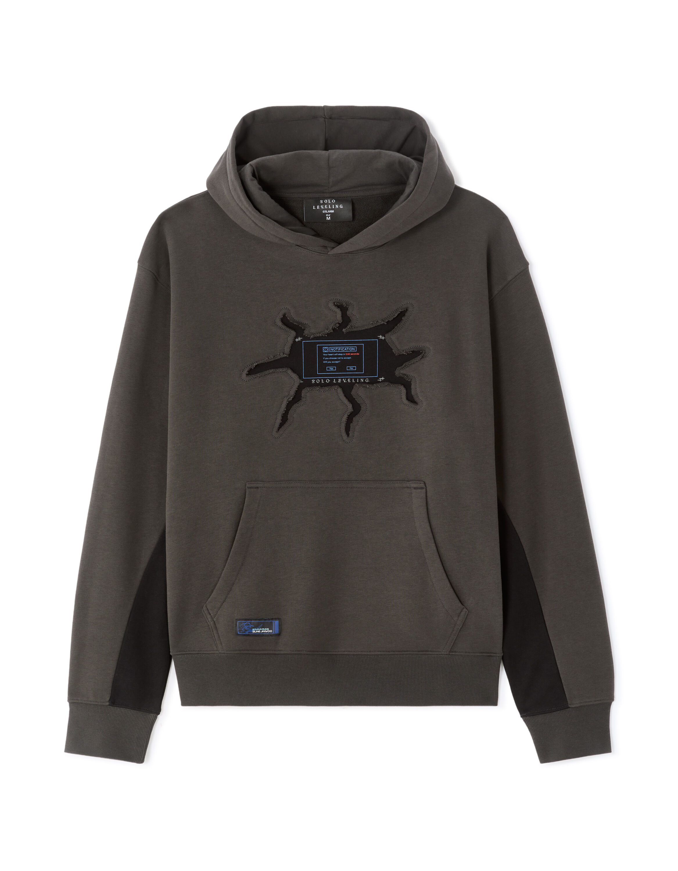 Solo Leveling - Sweat gris