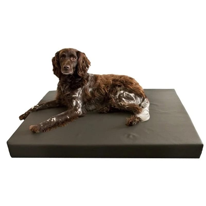 HD Dogbed kleine hond 55 x 80 cm