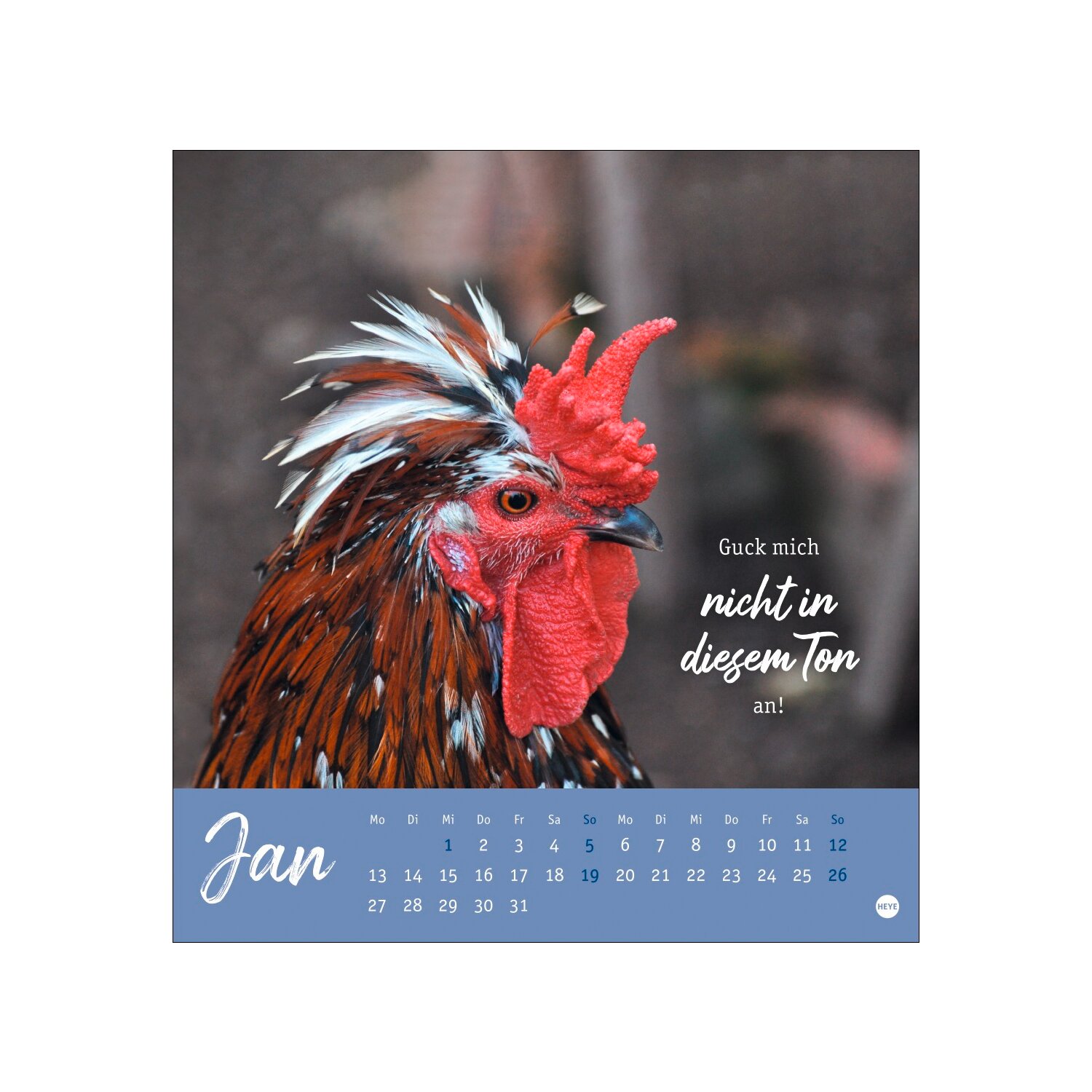 Postkartenkalender Hühner 2025 - Ach, du verrücktes Huhn  - 2025