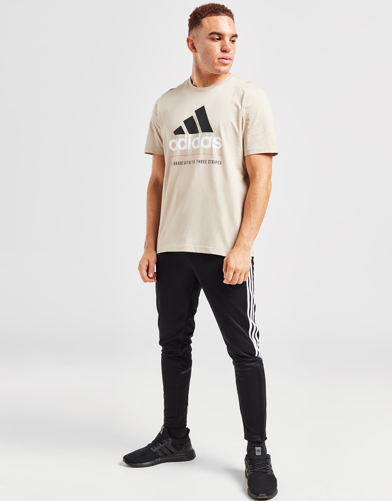 adidas T-Shirt Badge Of Sport Logo Homme