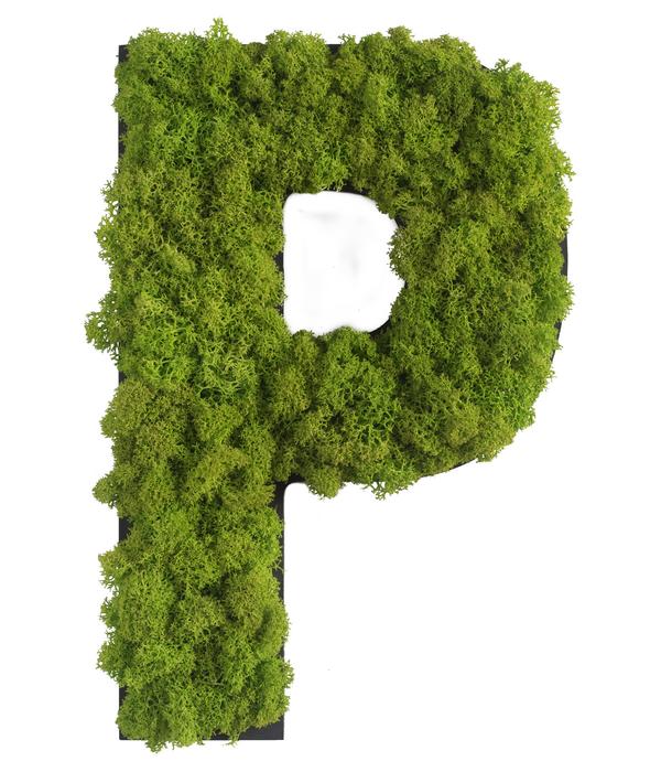 styleGREEN Buchstaben aus Islandmoos, ca. H25