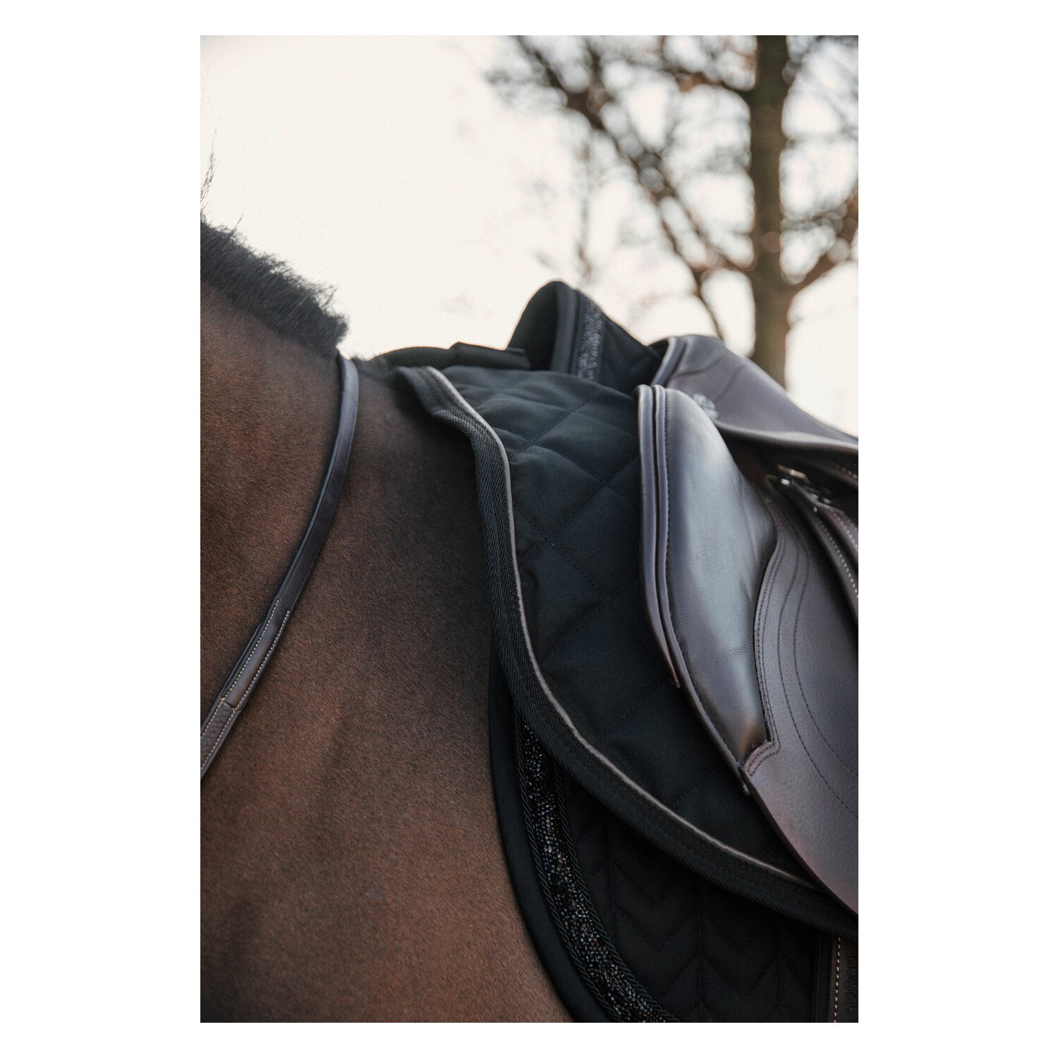 KENTUCKY Ausreitdecke 160 g  - black