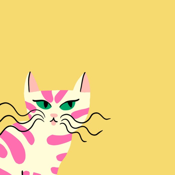 Greetz | Zomaar kaart | kat | illustratie